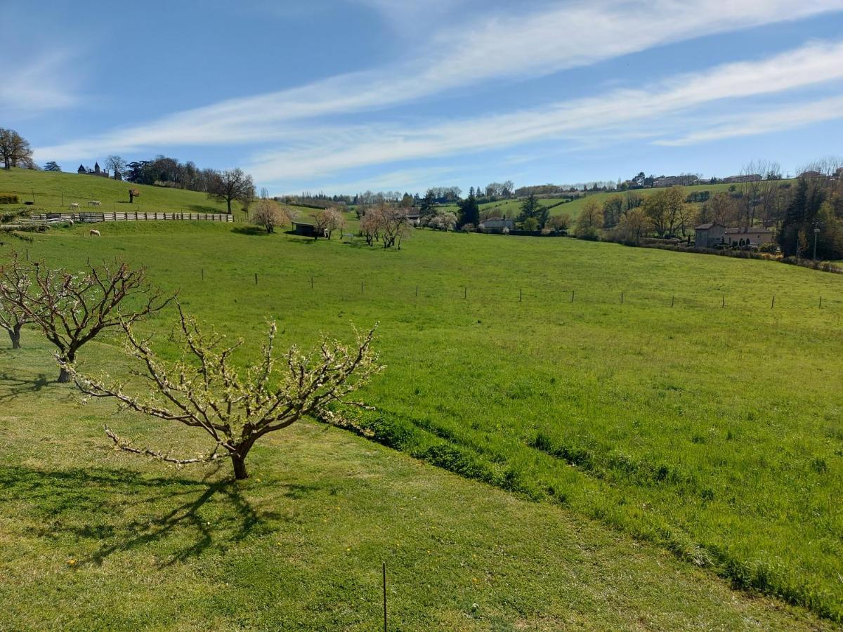 Gite Stone & Spa Chasselay Exterior foto